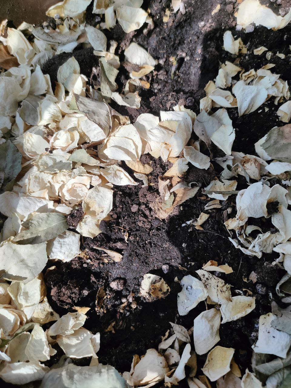 13 — копия.jpg