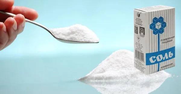 2025-03-12 08.00.21.jpg