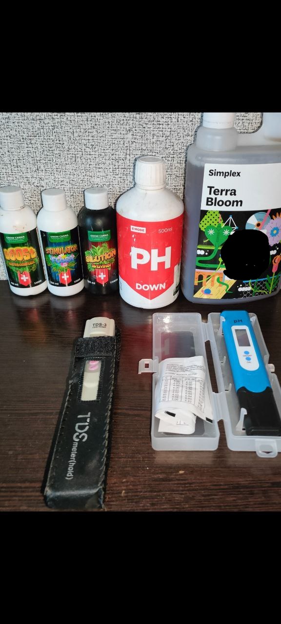 6 — копия.jpg