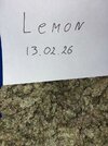 lemon5.jpeg